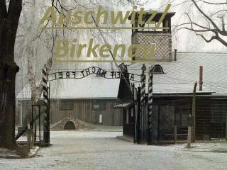 Auschwitz/ Birkenau
