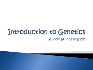 Introduction to Genetics