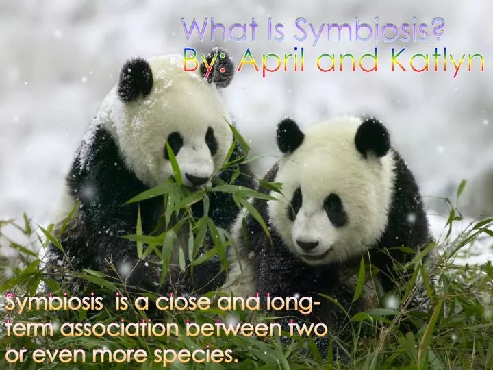 what is symbiosis