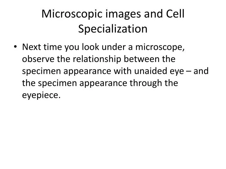 microscopic images and cell specialization