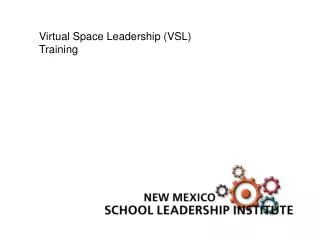 Virtual Space Leadership (VSL) Training