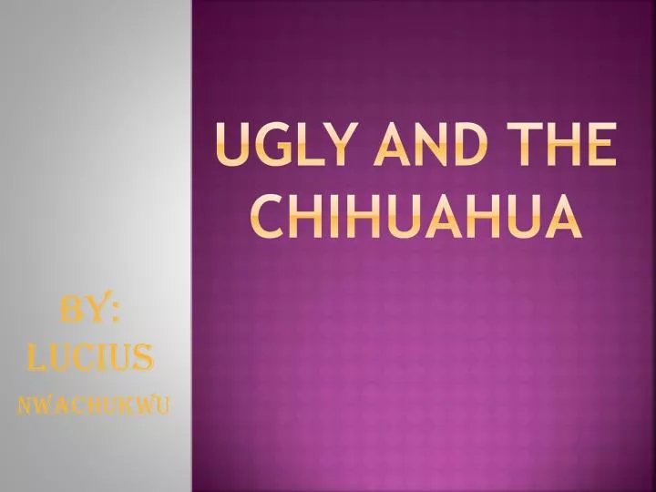 ugly and the chihuahua