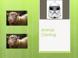 Animal Cloning