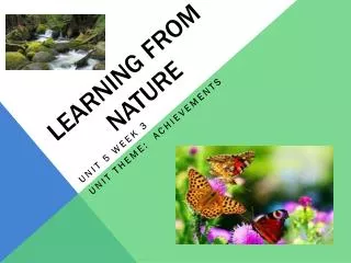 learning from nature