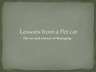 Lessons from a Pet cat
