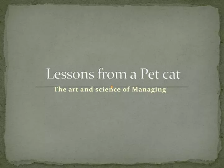 lessons from a pet cat