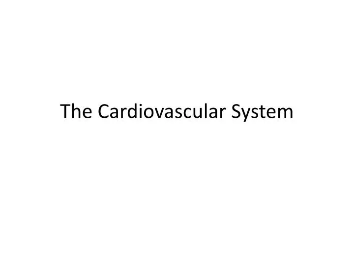 the cardiovascular system