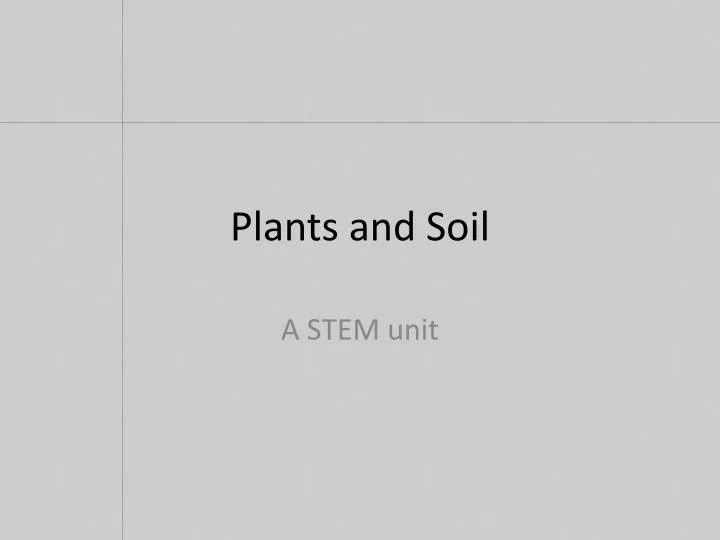 plants and soil
