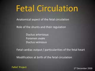 Fetal Circulation