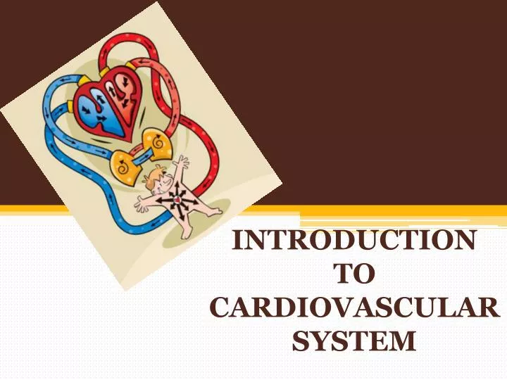 introduction to cardiovascular system