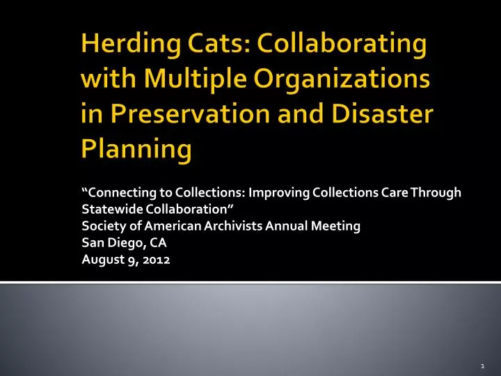 herding cats collaborating with multiple organizations in preservation and disaster planning