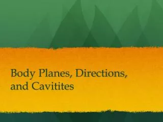 Body Planes, Directions, and Cavitites