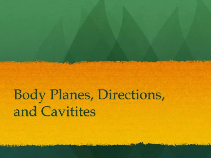 body planes directions and cavitites