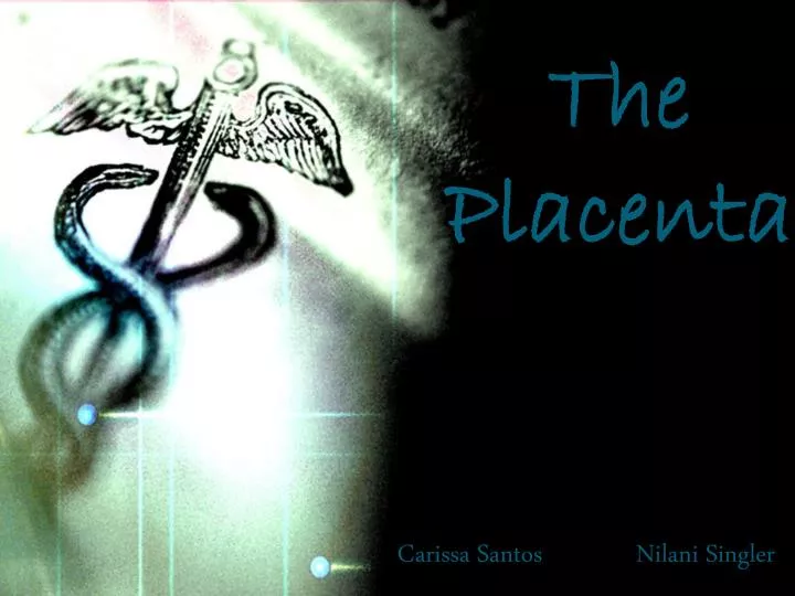 the placenta