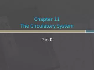 Chapter 11 The Circulatory System