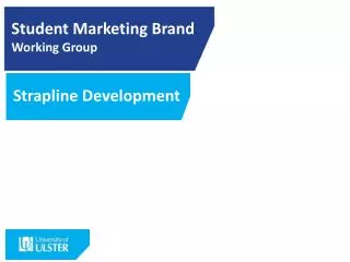 Student Marketing Brand Working Group