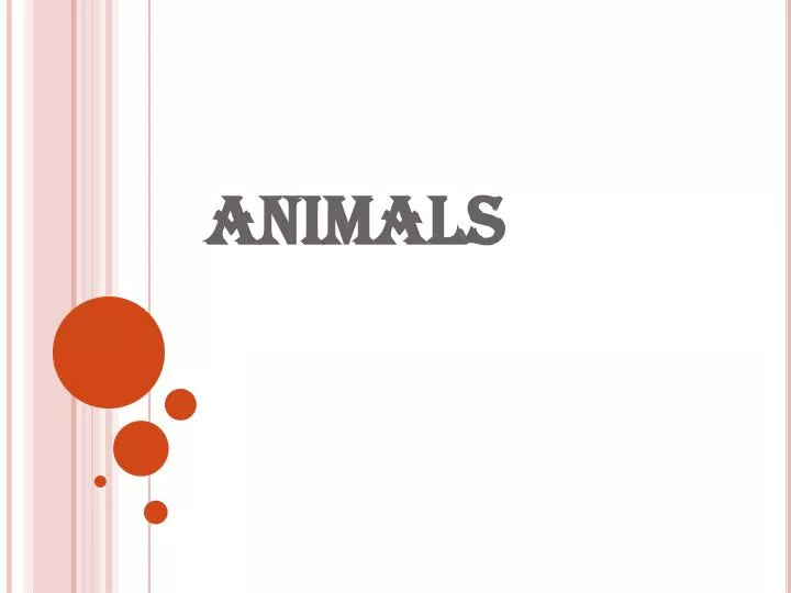 animals