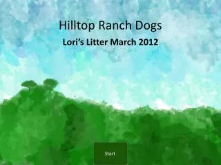 Hilltop Ranch Dogs