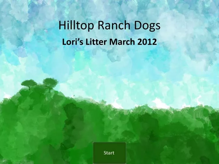 hilltop ranch dogs