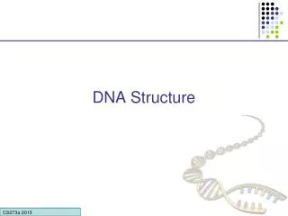 DNA Structure