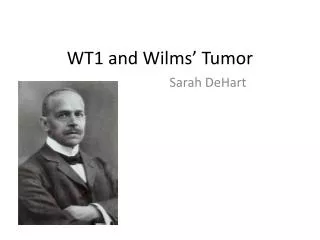 WT1 and Wilms ’ Tumor