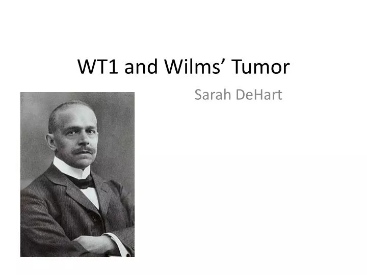wt1 and wilms tumor