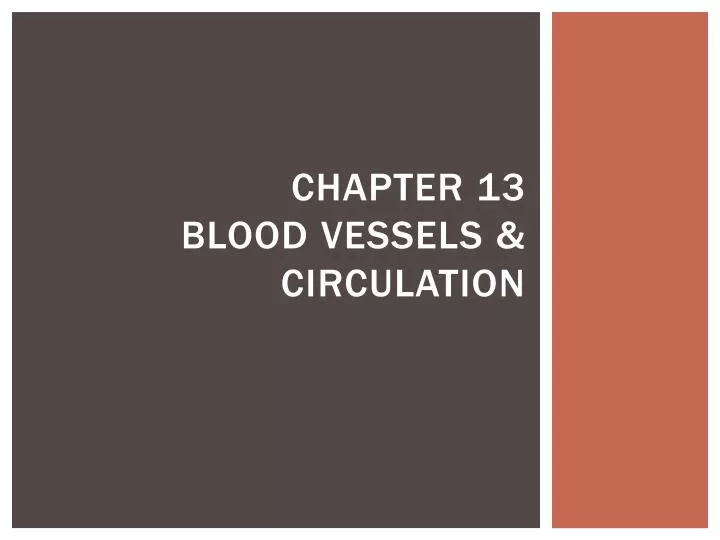 chapter 13 blood vessels circulation
