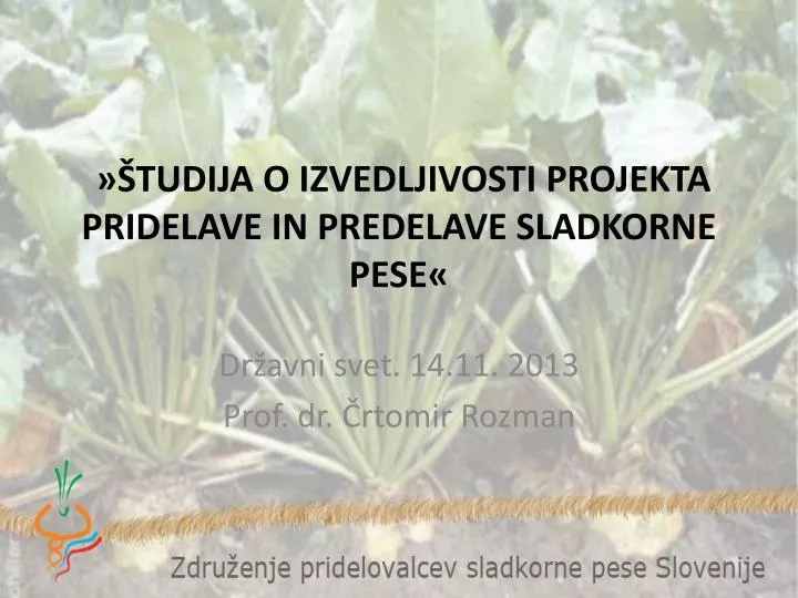 tudija o izvedljivosti projekta pridelave in predelave sladkorne pese