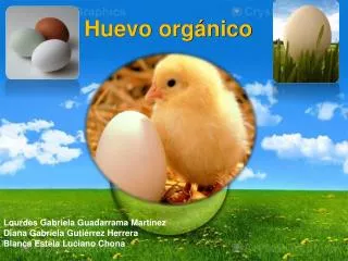 huevo org nico