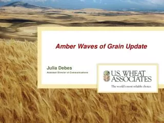 Amber Waves of Grain Update