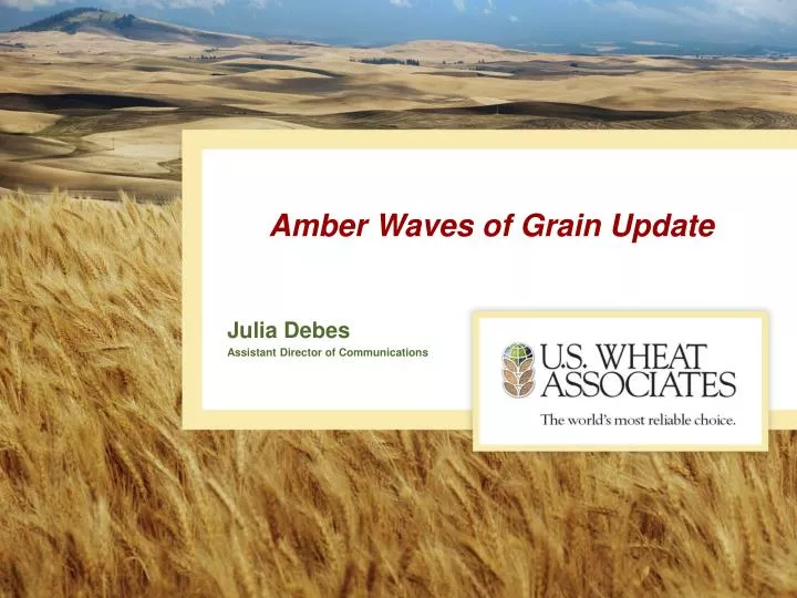 amber waves of grain update