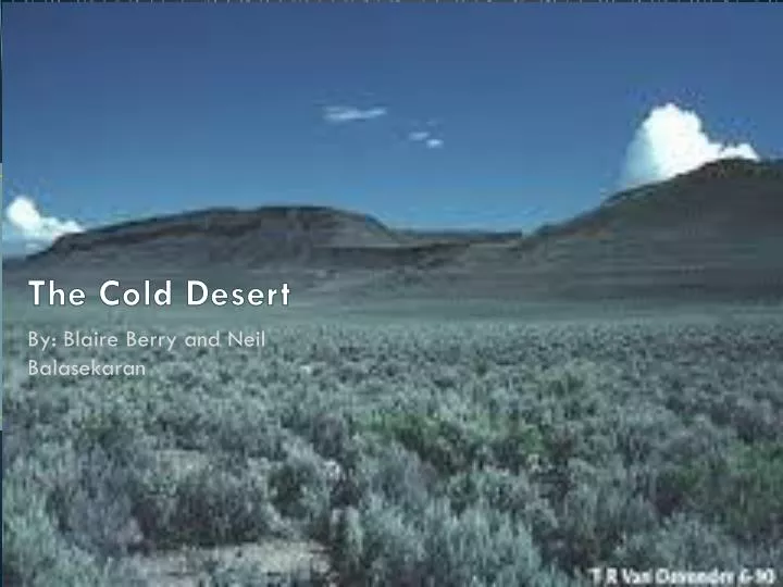 the cold desert