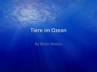 tiere im ozean
