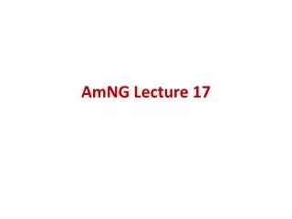 AmNG Lecture 17