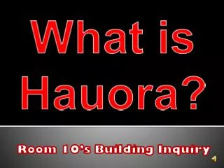 What is Hauora ?