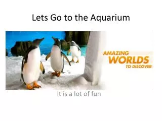 Lets Go to the Aquarium