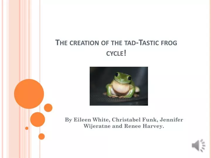 the creation of the tad tastic frog cycle
