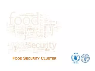 Food Security Cluster