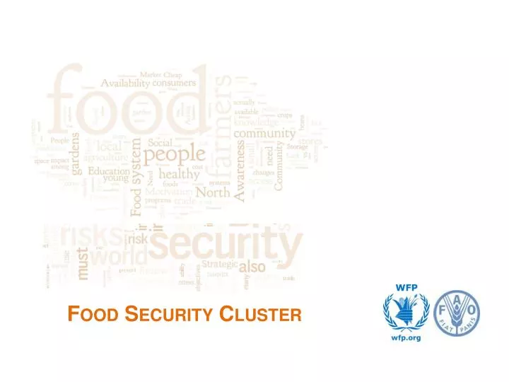 food security cluster
