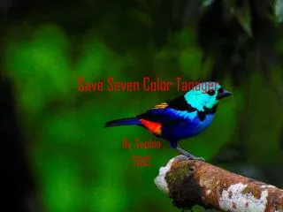 Save Seven Color Tanager