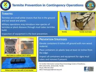 Termite Prevention in Contingency Operations