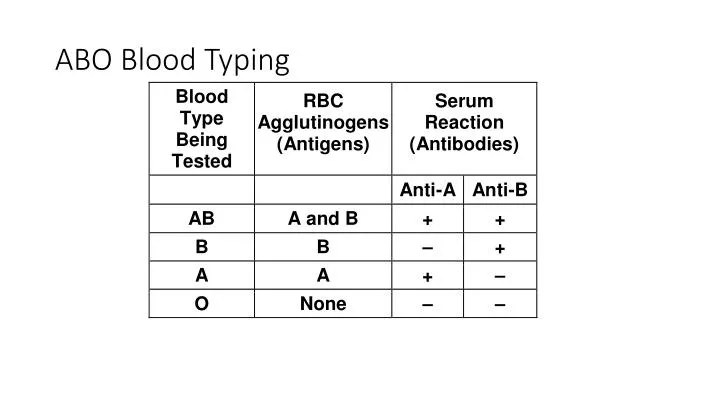 abo blood typing