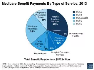 Medicare Benefit Payments By Type of Service, 2013