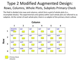 Type 2 Modified Augmented Design: Rows, Columns, Whole Plots, Subplots Primary Check