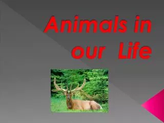 Animals in our Li f e