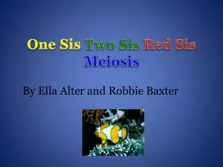One Sis Two Sis Red Sis Meiosis
