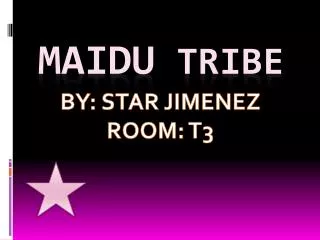 Maidu tribe