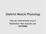 Skeletal Muscle Physiology - slide 1