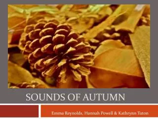 Sounds of autumn
