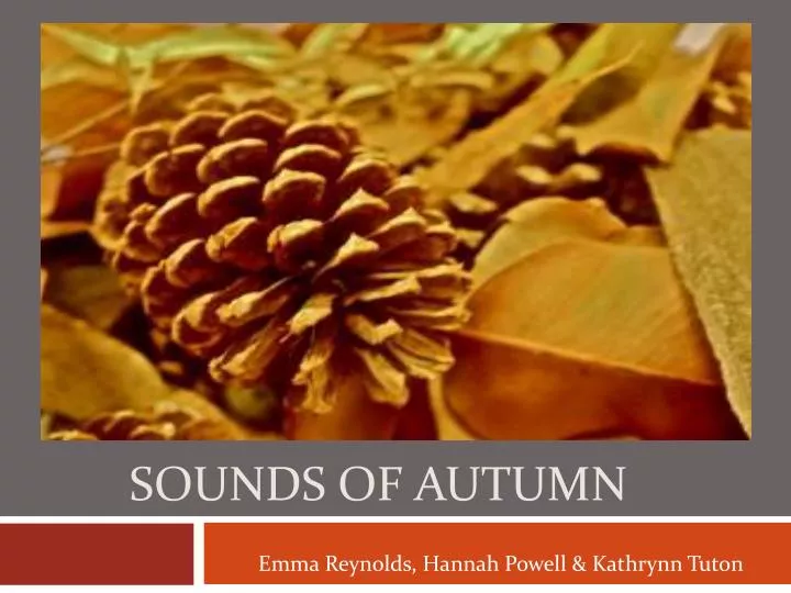 sounds of autumn